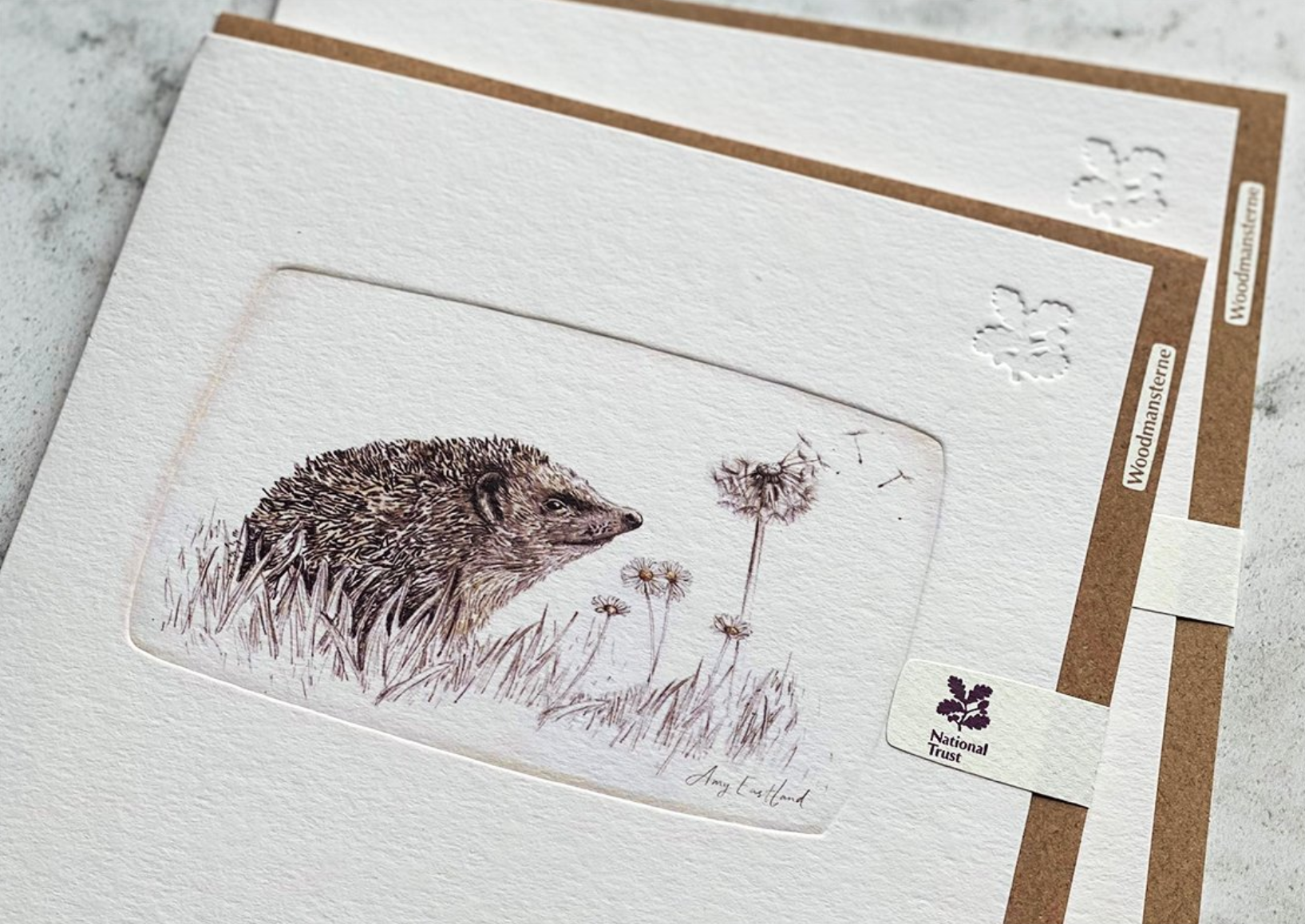 Woodmansterne image of a card featuring a line drawer of a cute hedgehog sniffing a dandelion