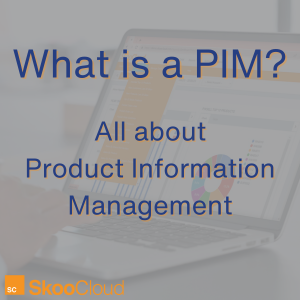 What is a PIM?